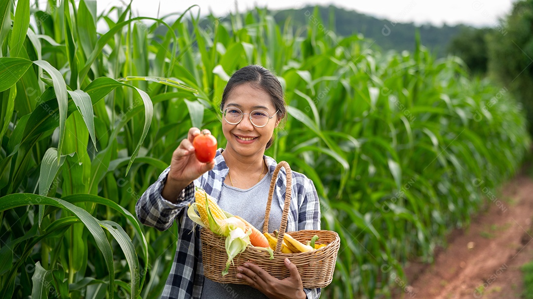 Linda jovem morena retrato mulher mão segurando legumes na cesta de bambu na planta de cultivo verde no fundo do por do sol.