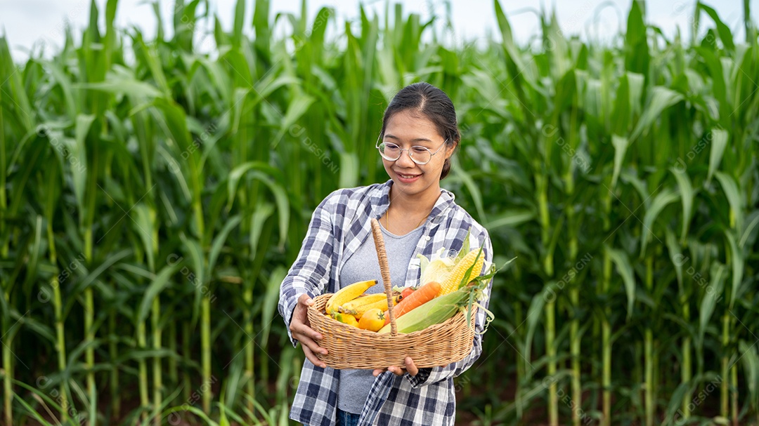 Linda jovem morena retrato mulher mão segurando legumes na cesta de bambu na planta de cultivo verde no fundo do por do sol.