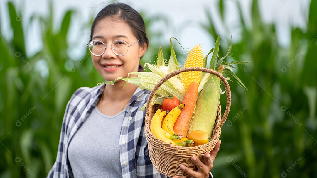 Linda jovem morena retrato mulher mão segurando legumes na cesta de bambu na planta de cultivo verde no fundo do por do sol