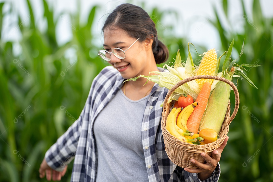 Linda jovem morena retrato mulher mão segurando legumes na cesta de bambu na planta de cultivo verde no fundo do por do sol.