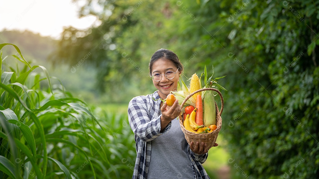 Linda jovem morena retrato mulher mão segurando legumes na cesta de bambu na planta de cultivo verde no fundo do por do sol.
