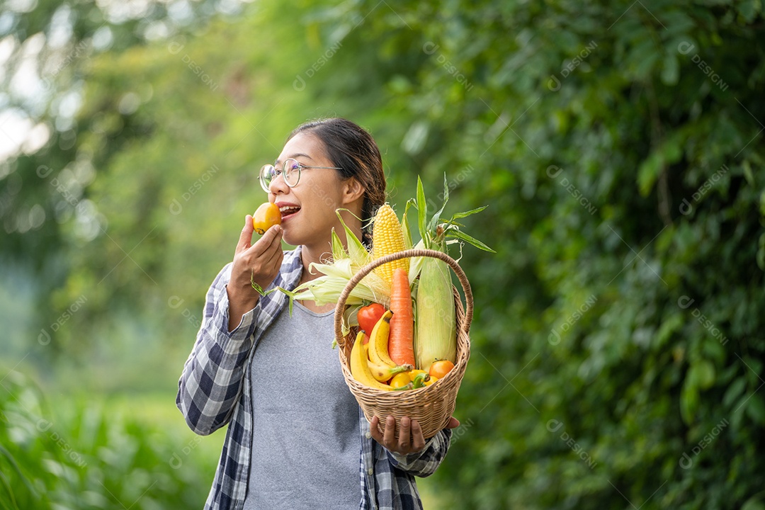 Linda jovem morena retrato mulher mão segurando legumes na cesta de bambu na planta de cultivo verde no fundo do por do sol