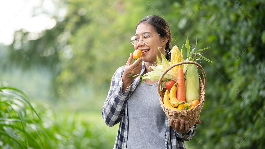 Linda jovem morena retrato mulher mão segurando legumes na cesta de bambu na planta de cultivo verde no fundo do por do sol