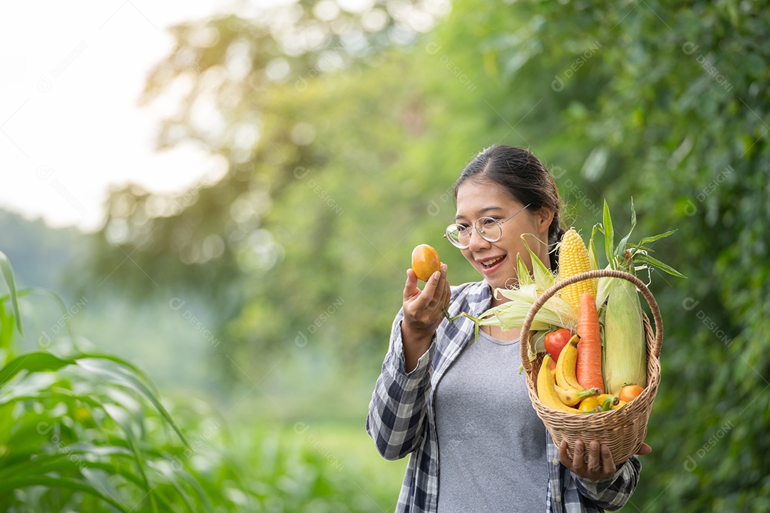 Linda jovem morena retrato mulher mão segurando legumes na cesta de bambu na planta de cultivo verde no fundo do por do sol.