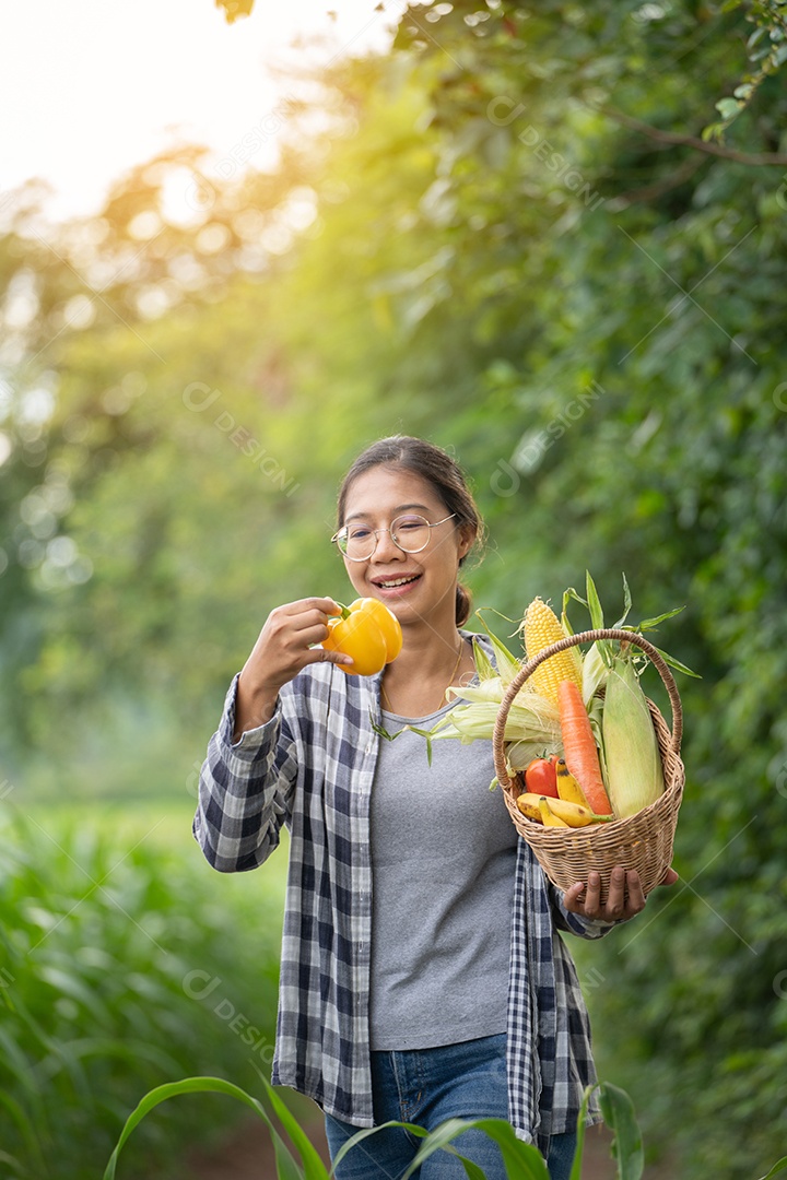 Linda jovem morena retrato mulher mão segurando legumes na cesta de bambu na planta de cultivo verde no fundo do por do sol.
