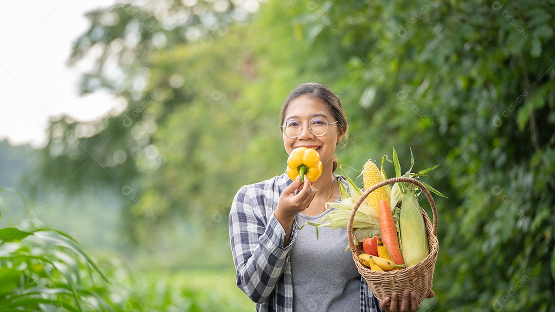 Linda jovem morena retrato mulher mão segurando legumes na cesta de bambu na planta de cultivo verde no fundo do por do sol.