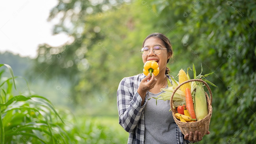 Linda jovem morena retrato mulher mão segurando legumes na cesta de bambu na planta de cultivo verde no fundo do por do sol.