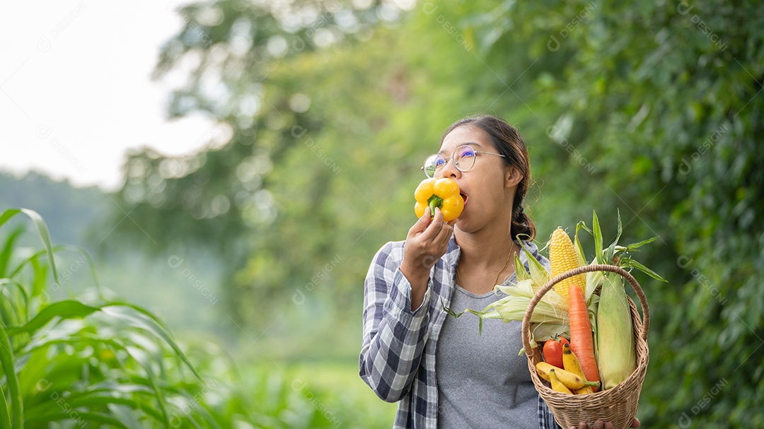 Linda jovem morena retrato mulher mão segurando legumes na cesta de bambu na planta de cultivo verde no fundo do por do sol.