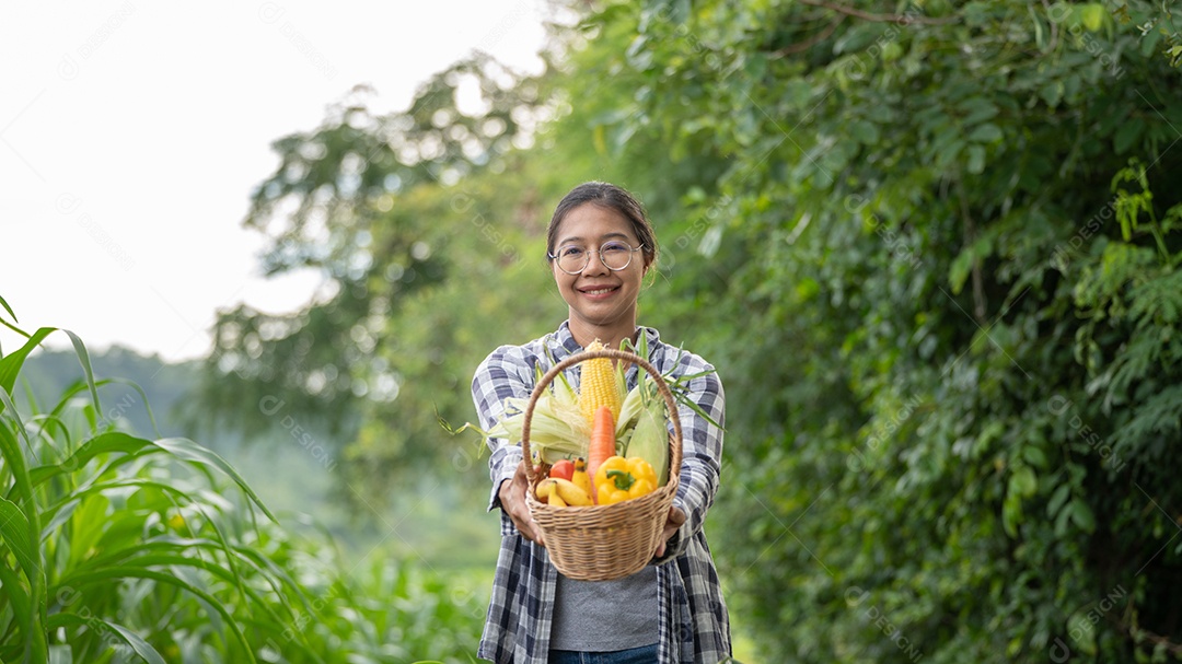 Linda jovem morena retrato mulher mão segurando legumes na cesta de bambu na planta de cultivo verde no fundo do por do sol.