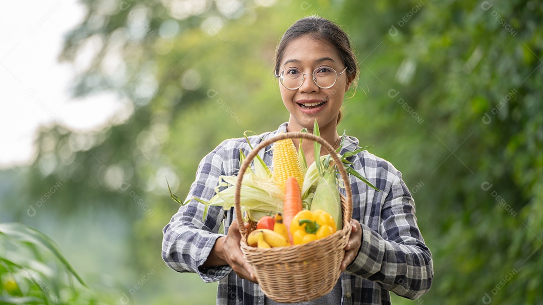 Linda jovem morena retrato mulher mão segurando legumes na cesta de bambu na planta de cultivo verde no fundo do por do sol.