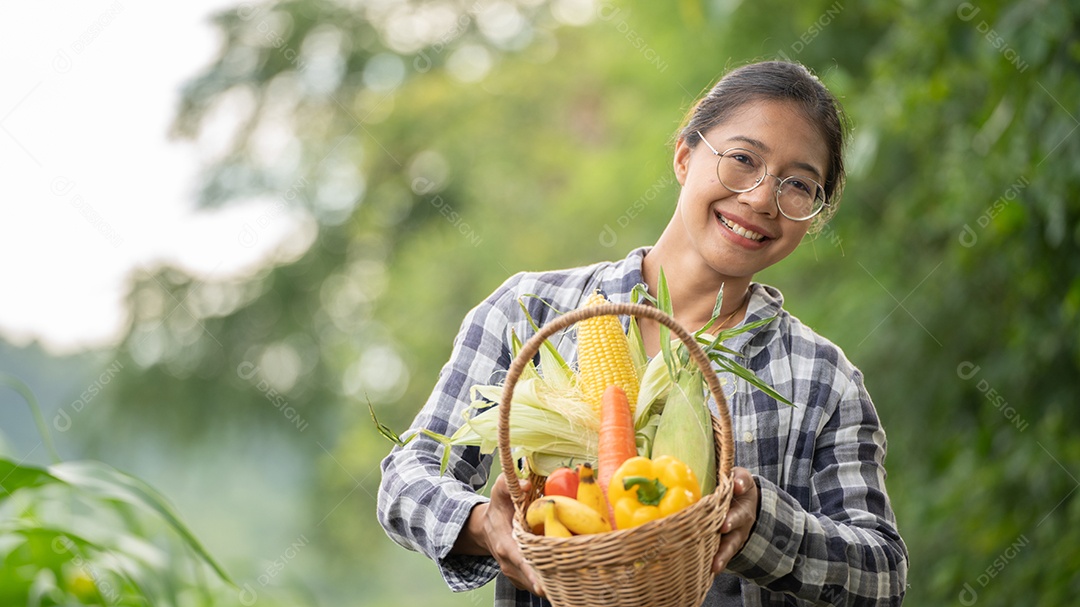 Linda jovem morena retrato mulher mão segurando legumes na cesta de bambu na planta de cultivo verde no fundo do por do sol.