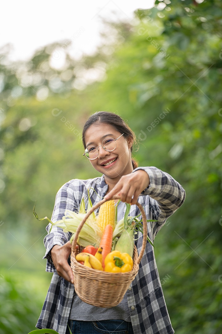 Linda jovem morena retrato mulher mão segurando legumes na cesta de bambu na planta de cultivo verde no fundo do por do sol.