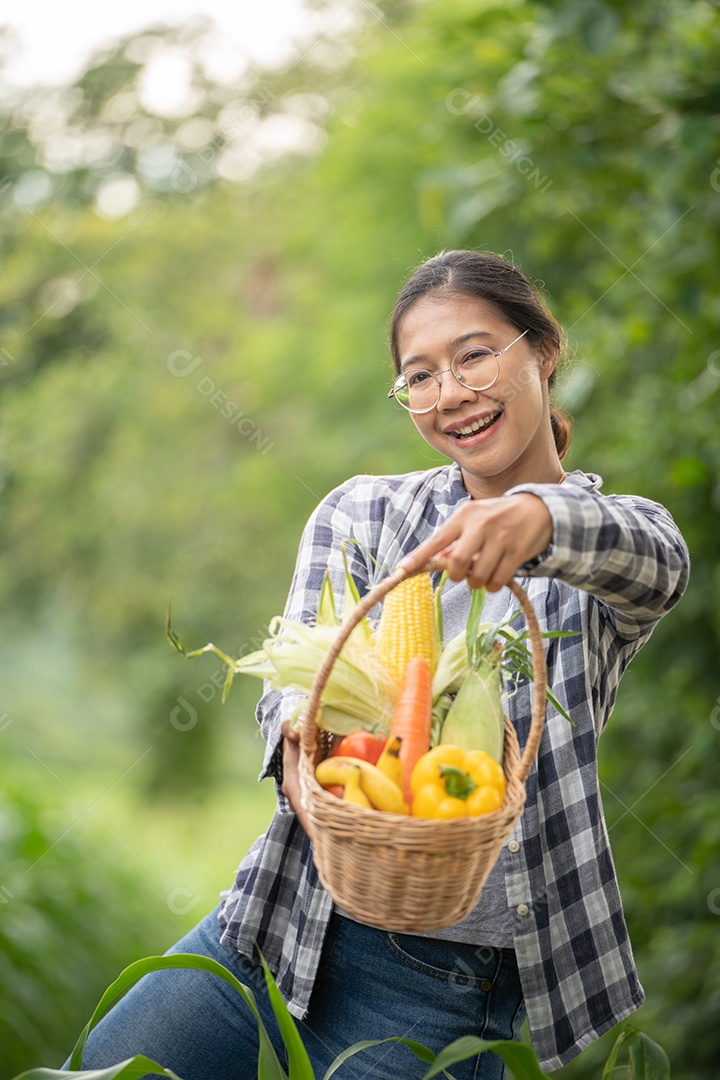 Linda jovem morena retrato mulher mão segurando legumes na cesta de bambu na planta de cultivo verde no fundo do por do sol.