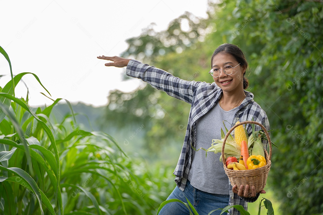 Linda jovem morena retrato mulher mão segurando legumes na cesta de bambu na planta de cultivo verde no fundo do por do sol.