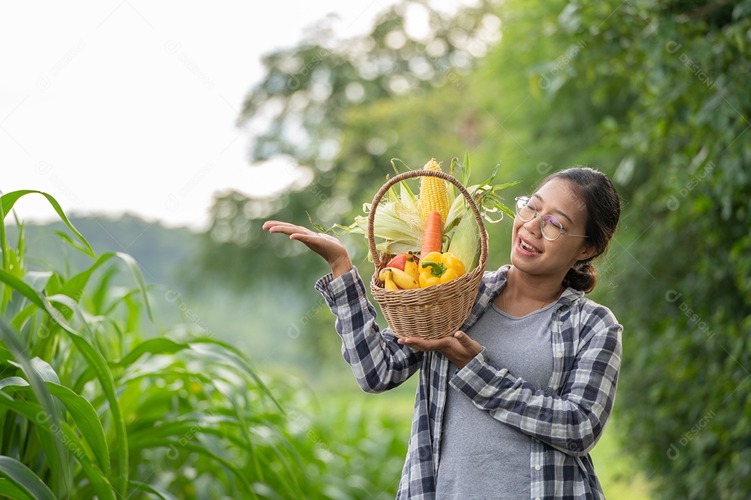 Linda jovem morena retrato mulher mão segurando legumes na cesta de bambu na planta de cultivo verde no fundo do por do sol.