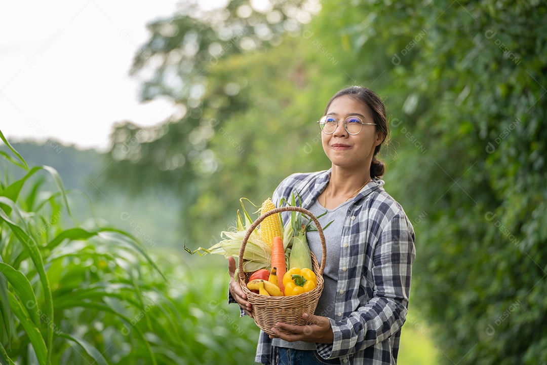 Linda jovem morena retrato mulher mão segurando legumes na cesta de bambu na planta de cultivo verde no fundo do por do sol.