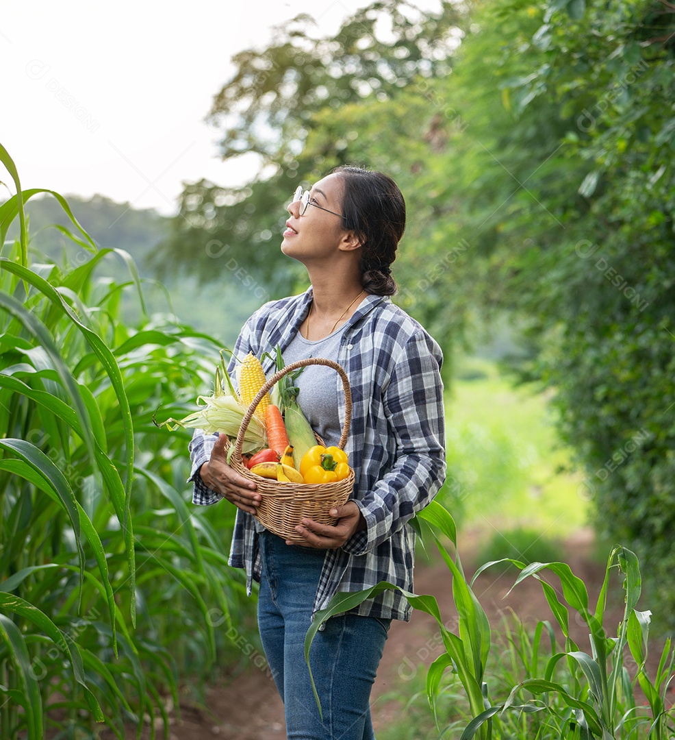 Linda jovem morena retrato mulher mão segurando legumes na cesta de bambu na planta de cultivo verde no fundo do por do sol.