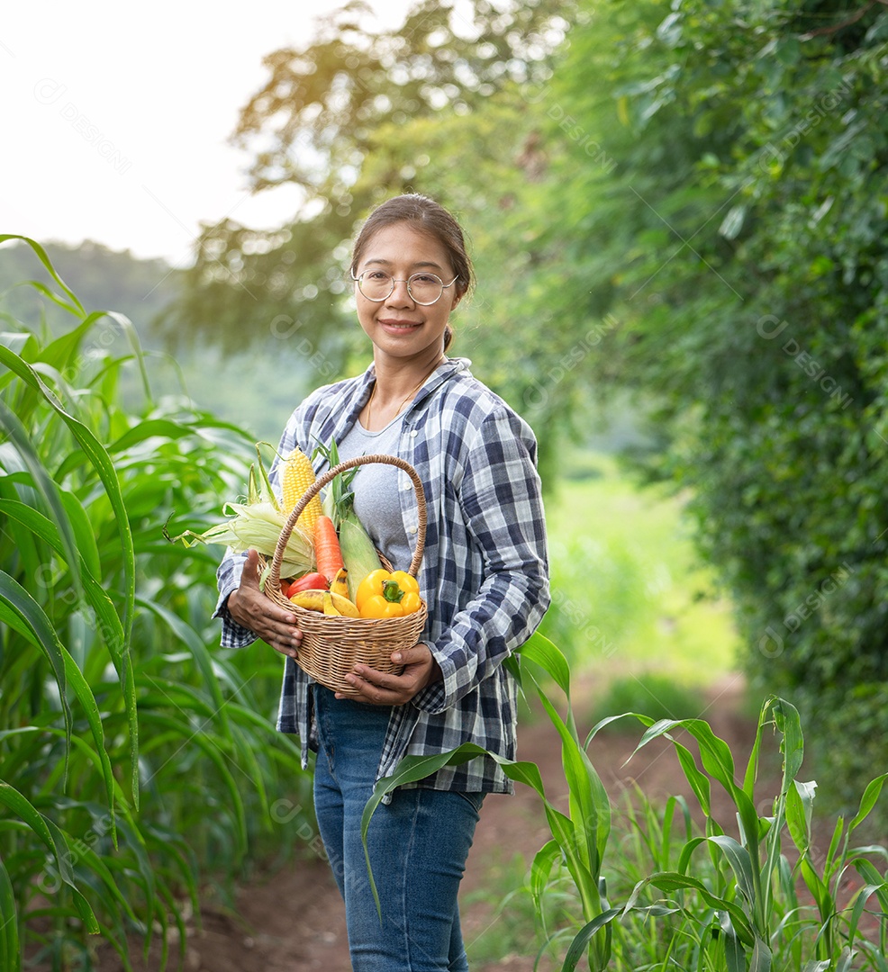 Linda jovem morena retrato mulher mão segurando legumes na cesta de bambu na planta de cultivo verde no fundo do por do sol.