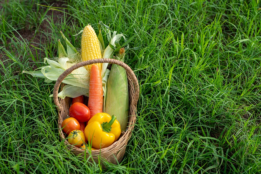 A pilha de vegetais na cesta de bambu na grama verde.