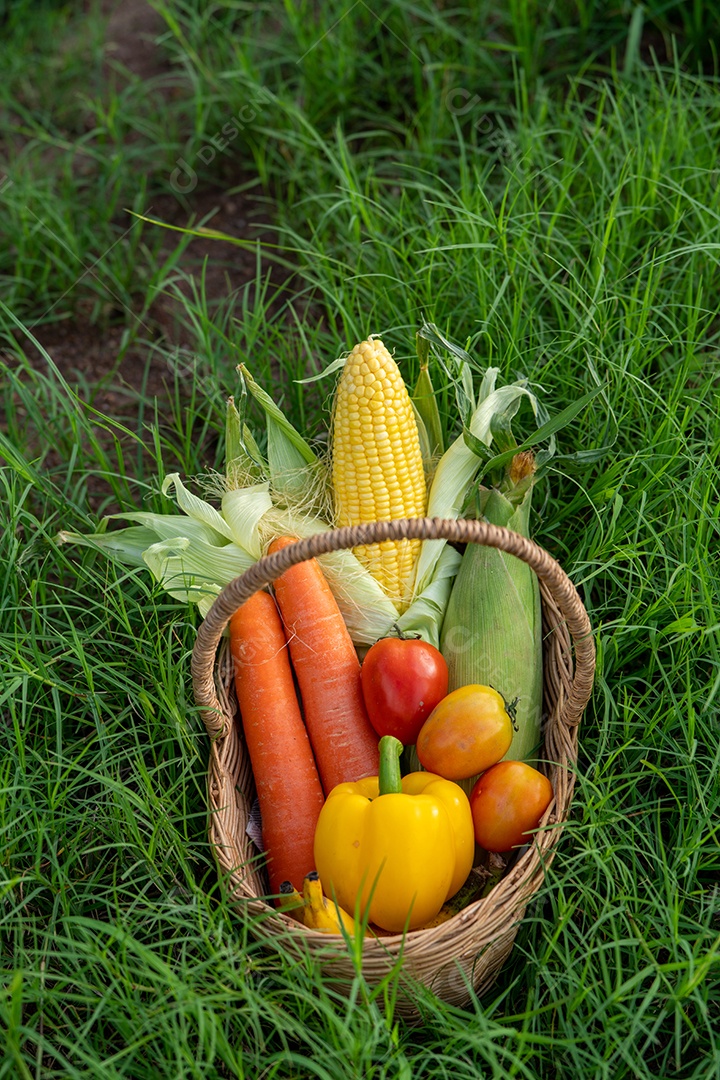 A pilha de vegetais na cesta de bambu na grama verde.