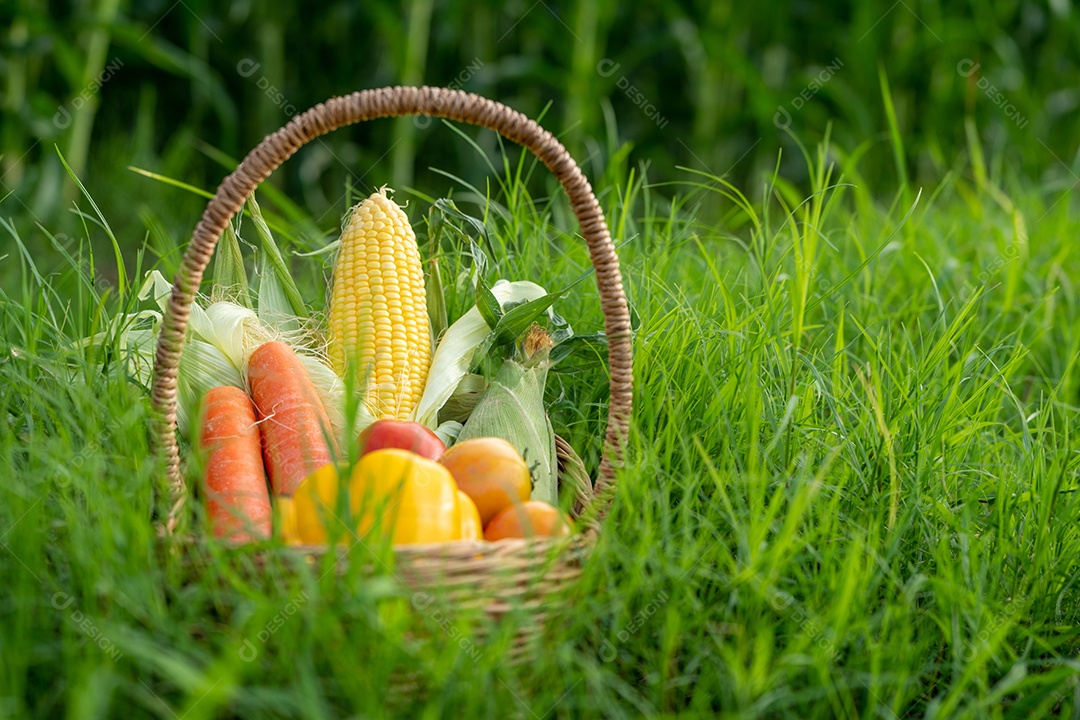 A pilha de vegetais na cesta de bambu na grama verde.