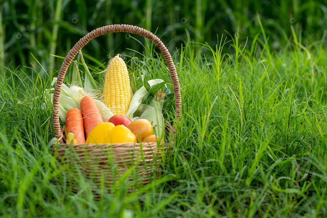A pilha de vegetais na cesta de bambu na grama verde.