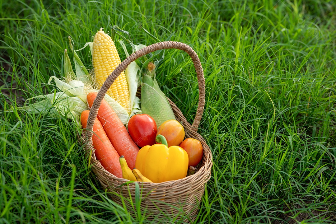 A pilha de vegetais na cesta de bambu na grama verde.