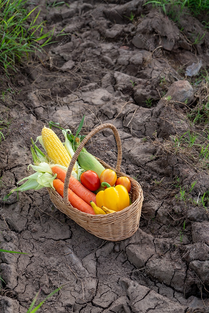 A pilha de vegetais na cesta de bambu no solo na fazenda.