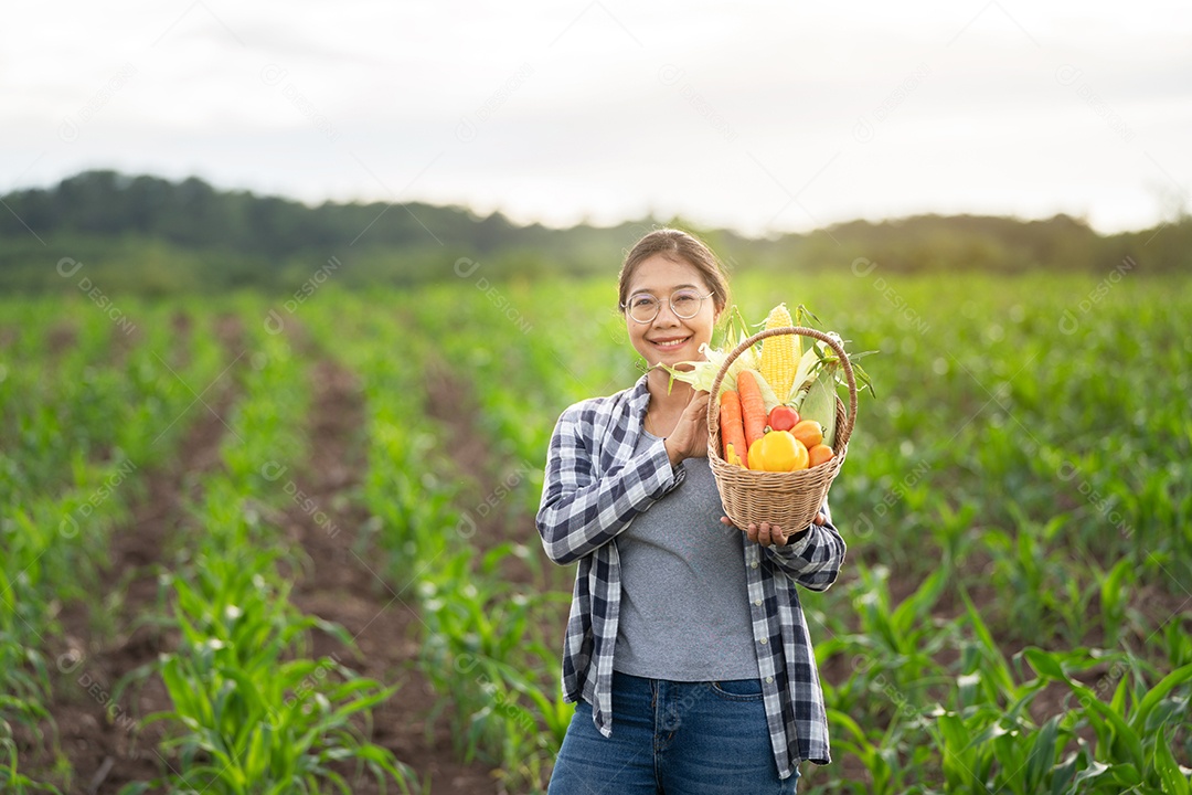 Linda jovem morena retrato mulher mão segurando legumes na cesta de bambu na planta de cultivo verde no fundo do por do sol.