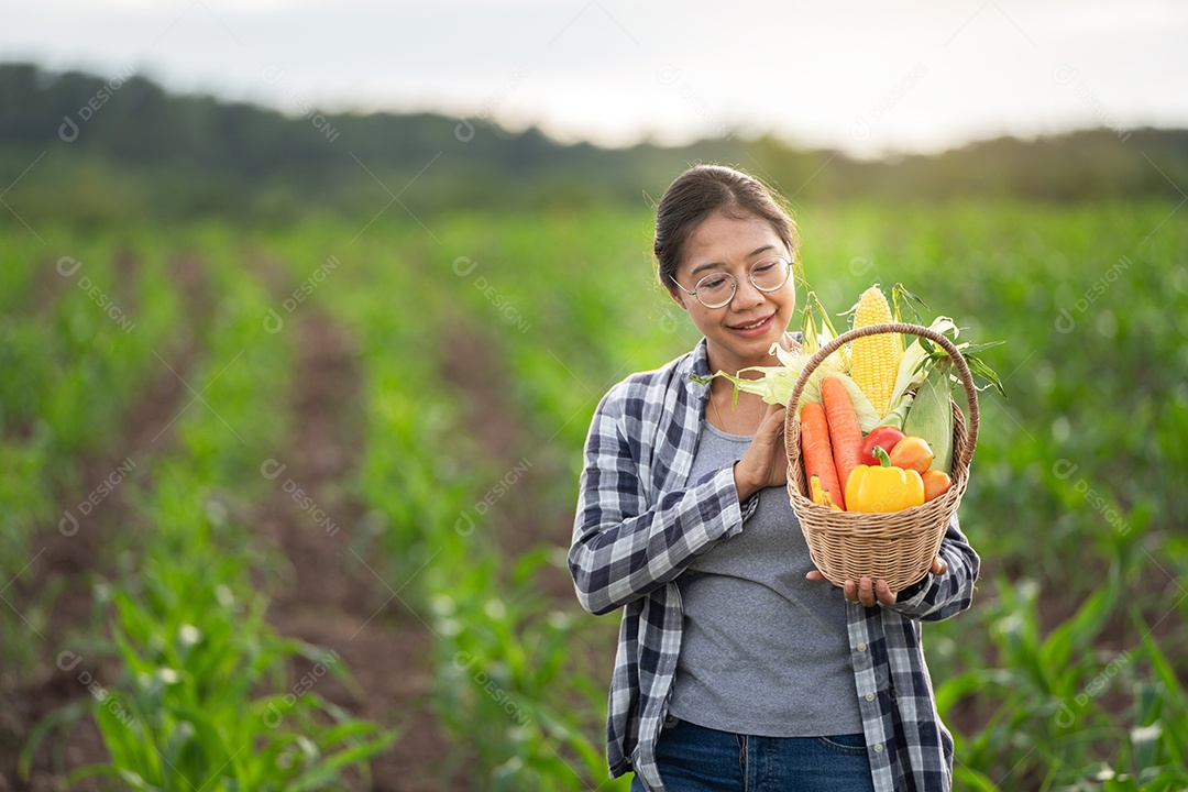 Linda jovem morena retrato mulher mão segurando legumes na cesta de bambu na planta de cultivo verde no fundo do por do sol.