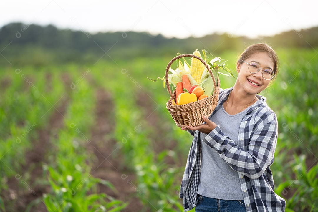 Linda jovem morena retrato mulher mão segurando legumes na cesta de bambu na planta de cultivo verde no fundo do por do sol.