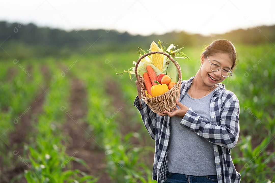 Linda jovem morena retrato mulher mão segurando legumes na cesta de bambu na planta de cultivo verde no fundo do por do sol.