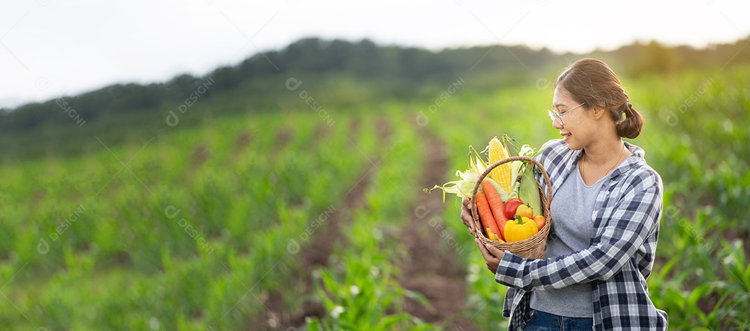 Linda jovem morena retrato mulher mão segurando legumes na cesta de bambu na planta de cultivo verde no fundo do por do sol.