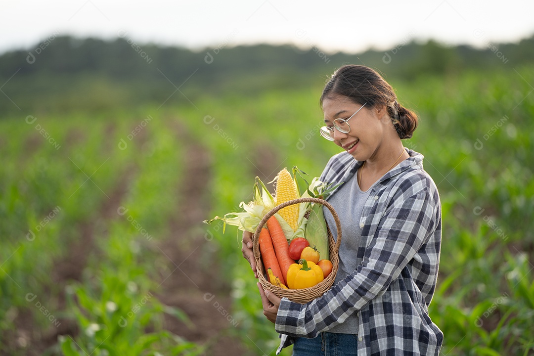 Linda jovem morena retrato mulher mão segurando legumes na cesta de bambu na planta de cultivo verde no fundo do por do sol.