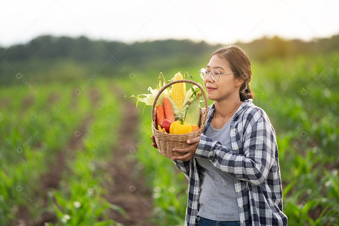 Linda jovem morena retrato mulher mão segurando legumes na cesta de bambu na planta de cultivo verde no fundo do por do sol.