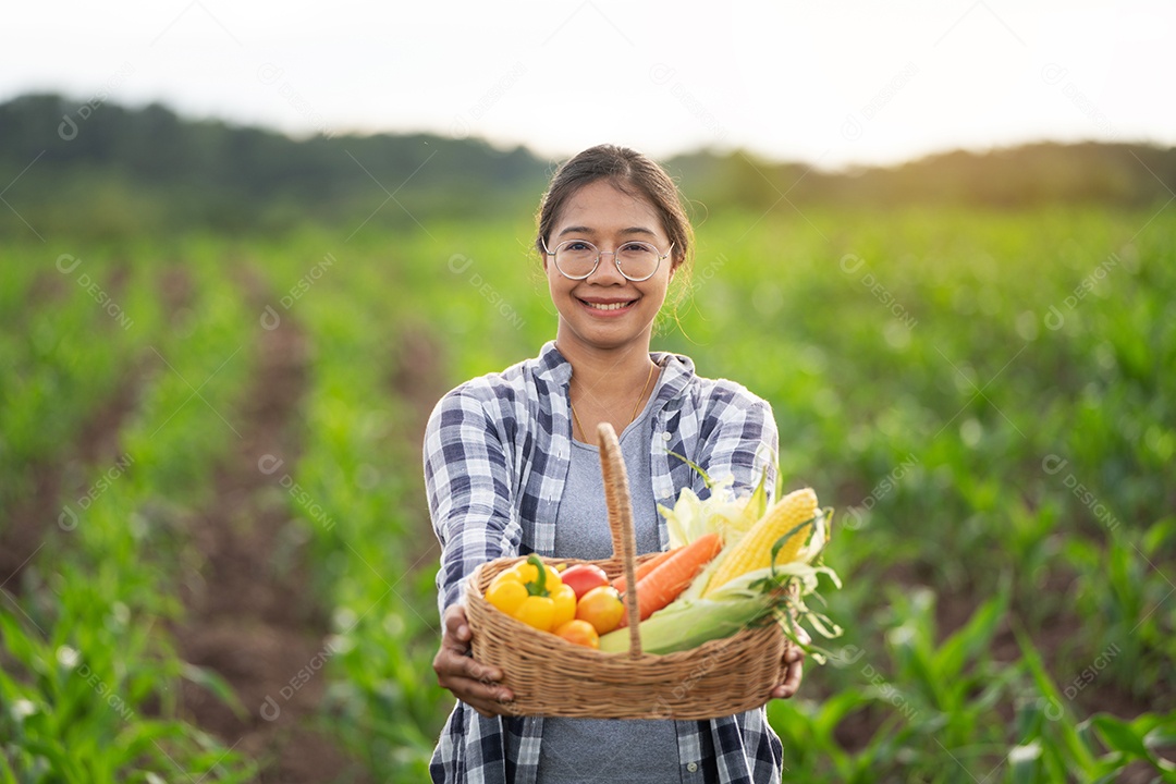 Linda jovem morena retrato mulher mão segurando legumes na cesta de bambu na planta de cultivo verde no fundo do por do sol.