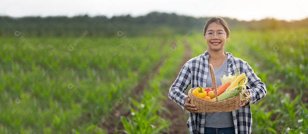 Linda jovem morena retrato mulher mão segurando legumes na cesta de bambu na planta de cultivo verde no fundo do por do sol.