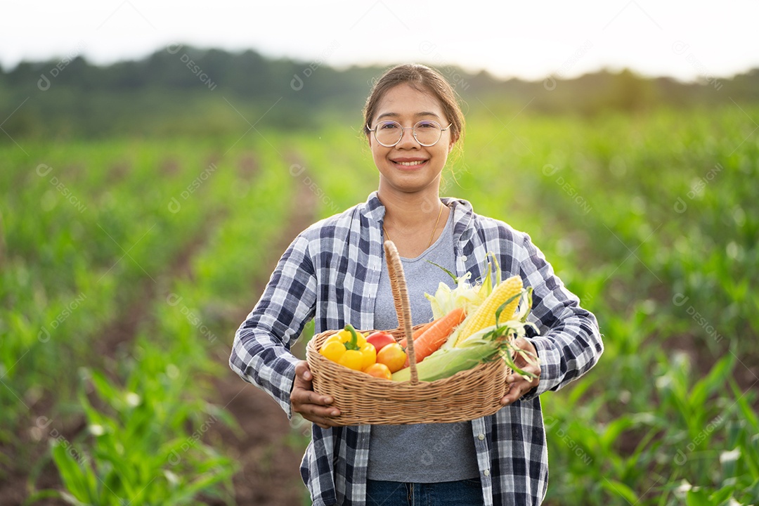 Linda jovem morena retrato mulher mão segurando legumes na cesta de bambu na planta de cultivo verde no fundo do por do sol.