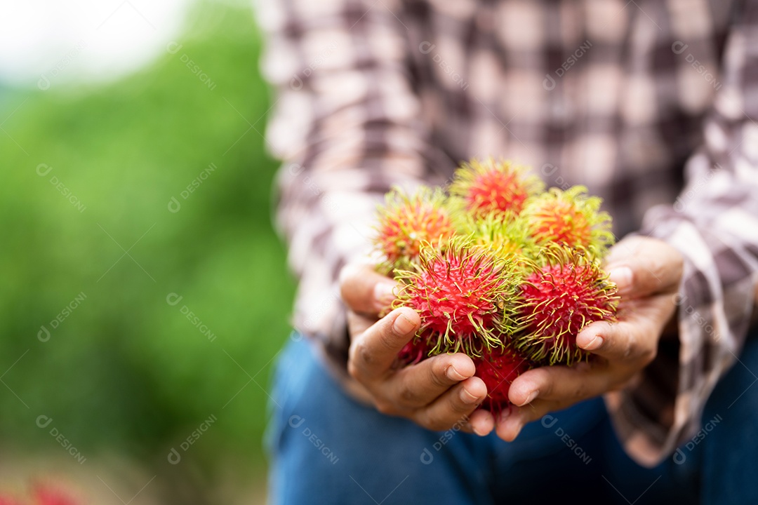 Agricultora asiática Farmer, agricultora segurando pilha de frutas.