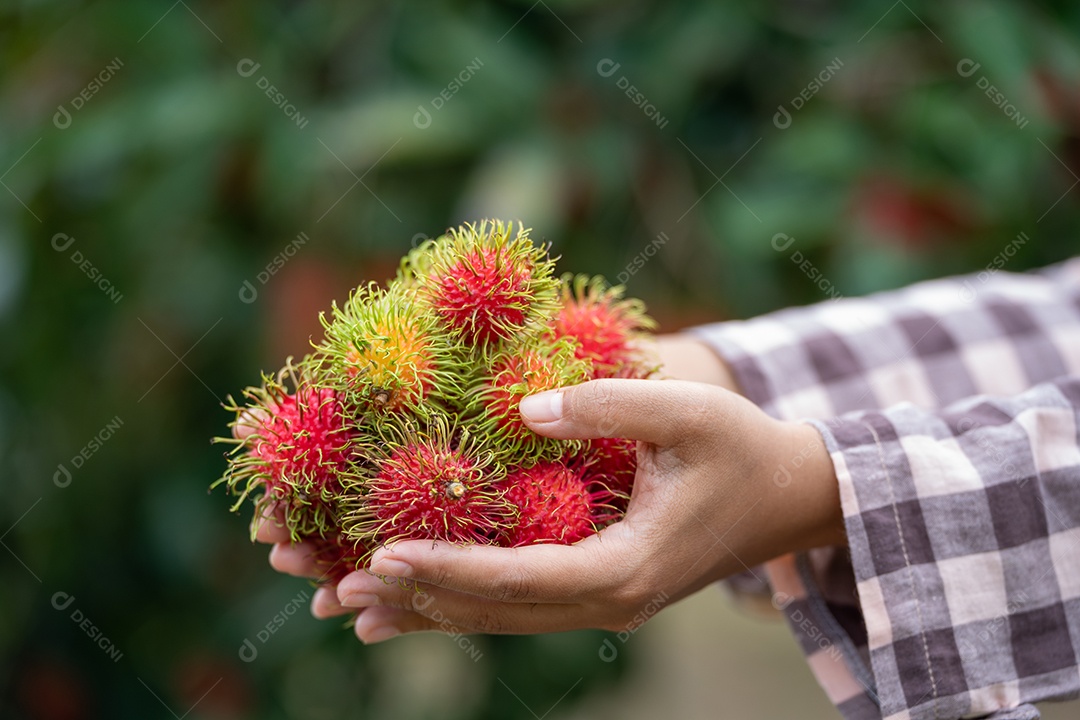Agricultora asiática Farmer, agricultora segurando pilha de frutas.