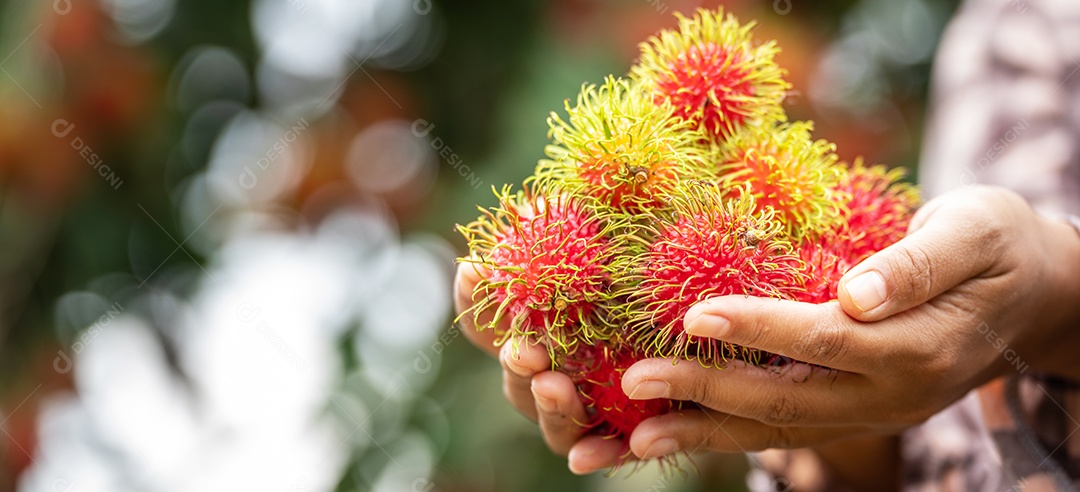 Agricultora asiática Farmer, agricultora segurando pilha de frutas.