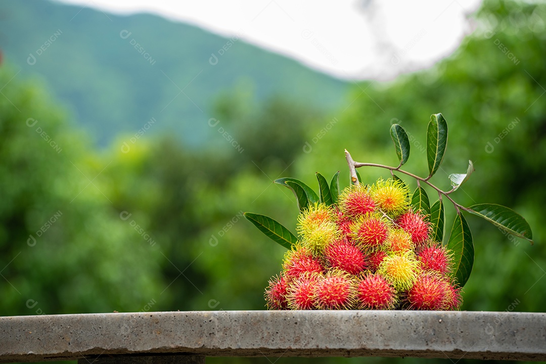 A pilha de frutas deliciosas de Rambutan com folha verde.