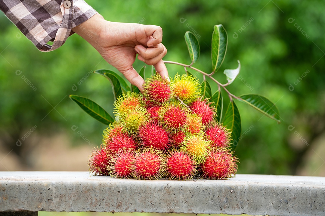 A pilha de frutas deliciosas de Rambutan com folha