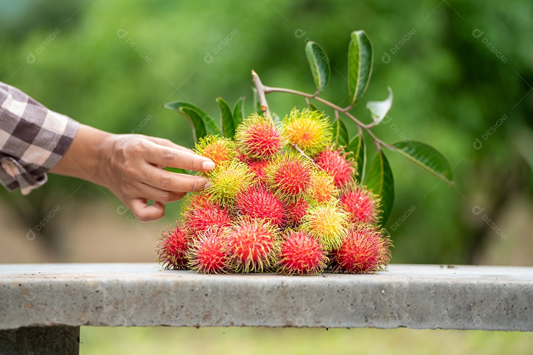 A pilha de frutas deliciosas de Rambutan com folha verde.