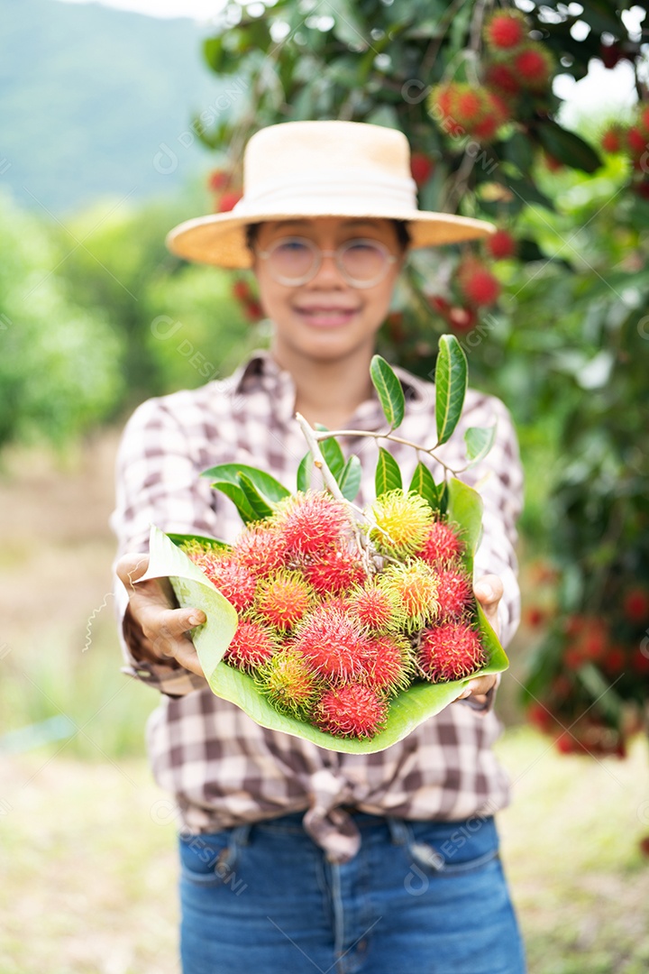 Agricultora asiática Farmer, agricultora segurando pilha de frutas.