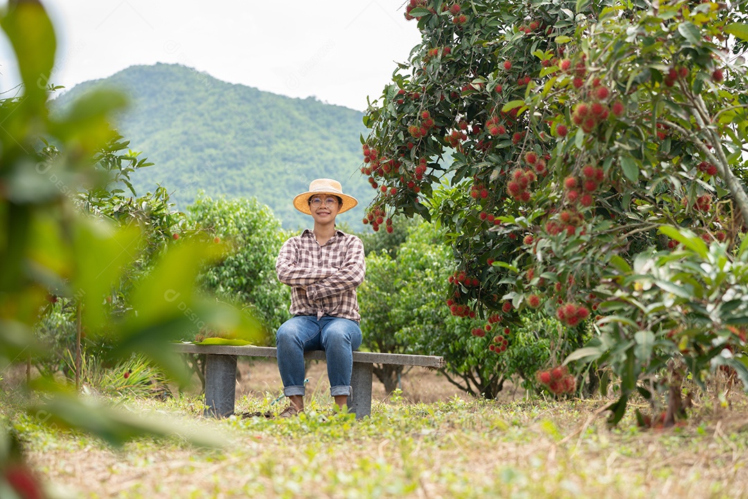 Mulher agricultora da Ásia Agricultor de frutas Agricultor verificando a qualidade do produto.