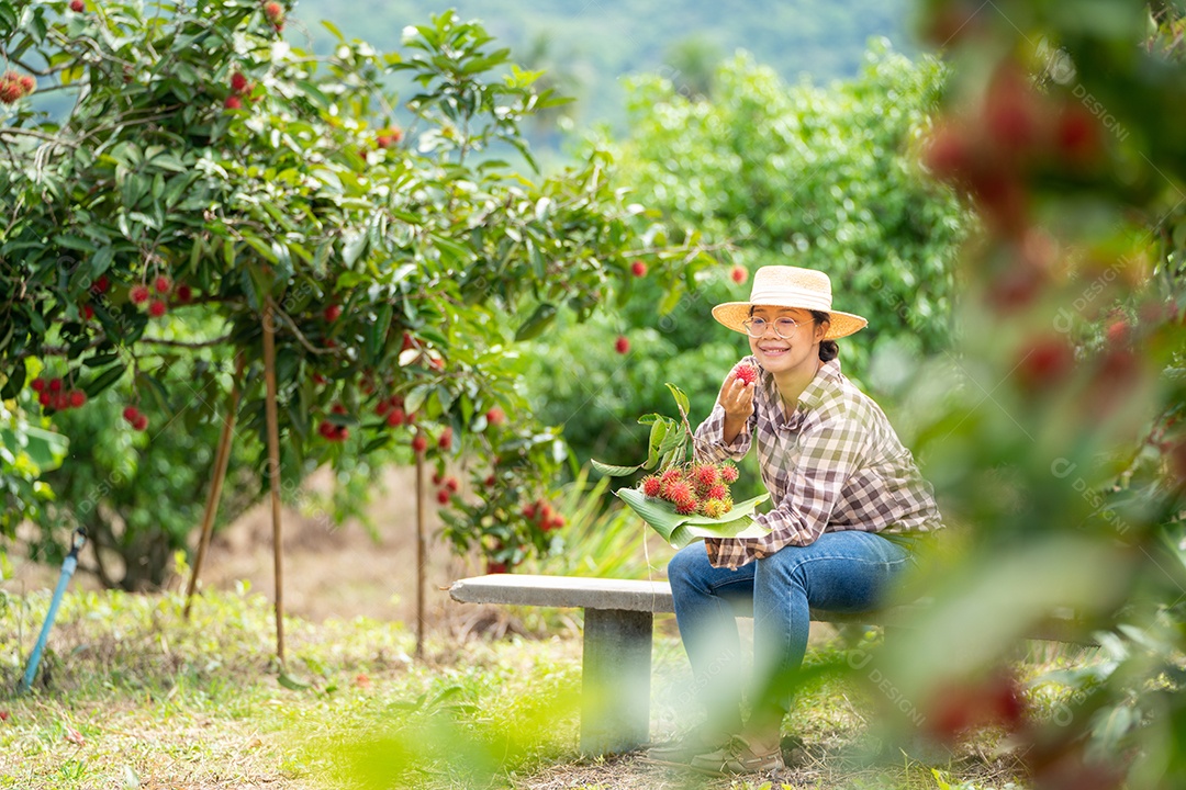 Mulher agricultora da Ásia Agricultor de frutas Agricultor verificando a qualidade do produto.