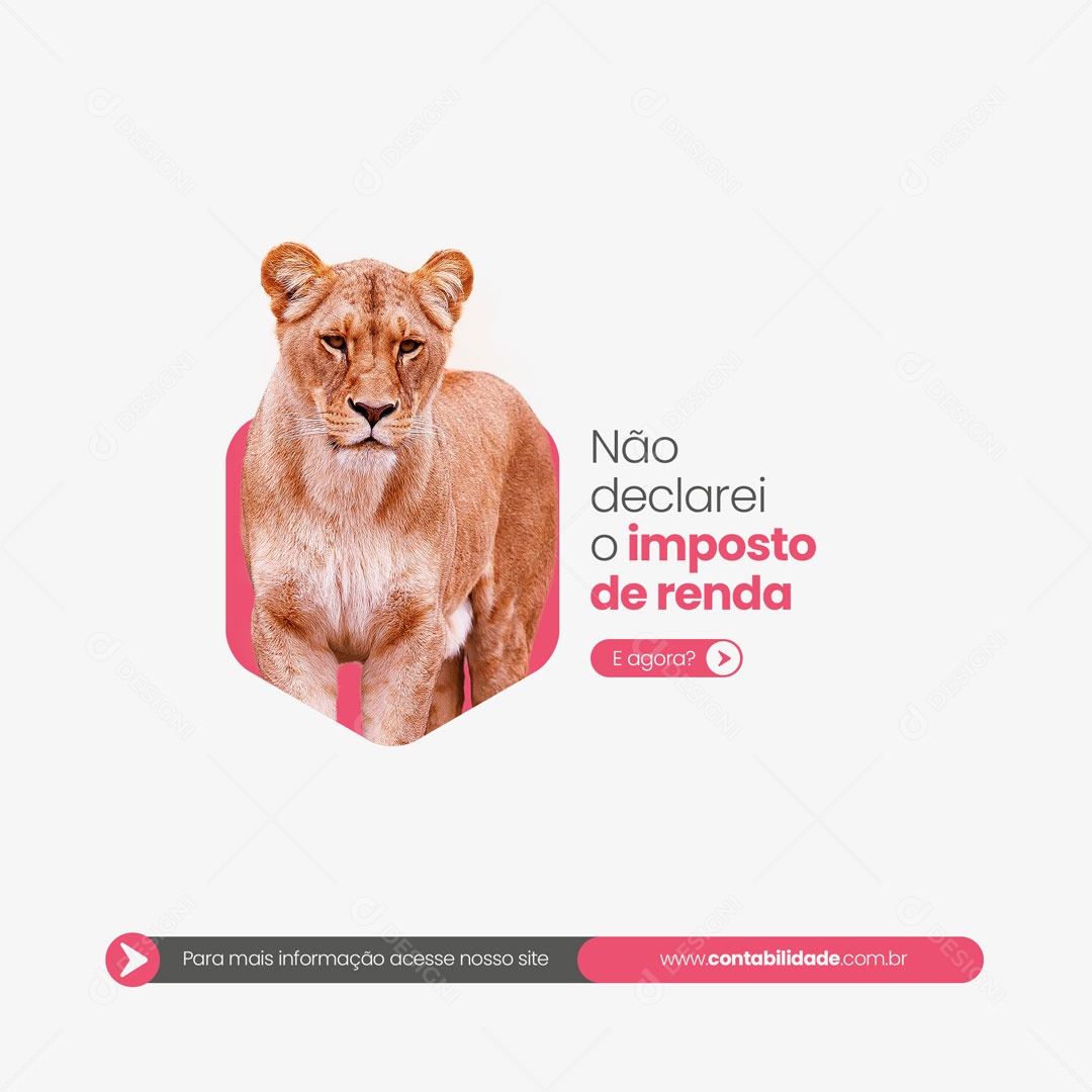 Post Contabilidade Contador não Declarei o Imposto de Renda Social Media PSD Editável
