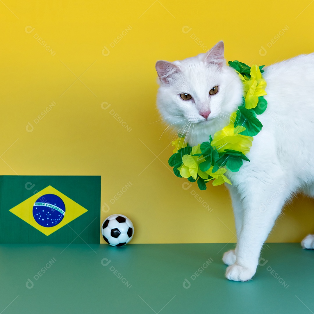 pet world cup, white cat fan brazil
