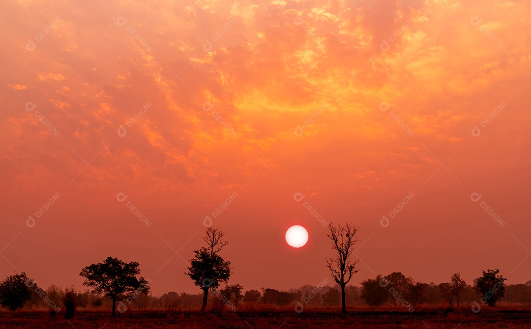 Céu vermelho e laranja do pôr do sol com floresta de dipterocarpos decíduos